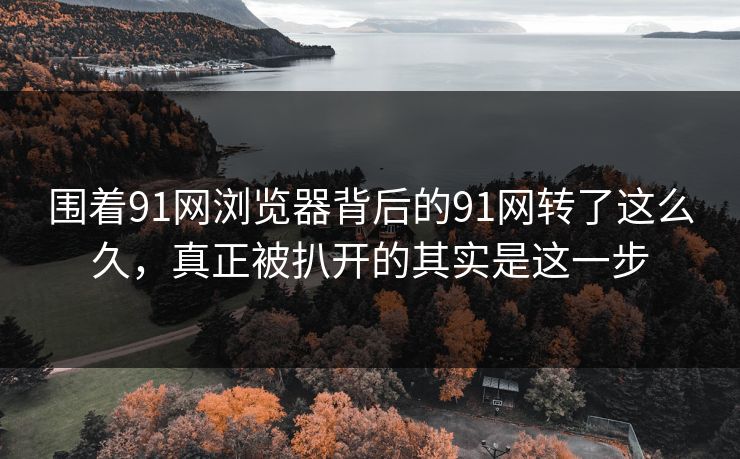 围着91网浏览器背后的91网转了这么久，真正被扒开的其实是这一步